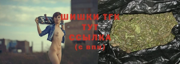 амф Кулебаки