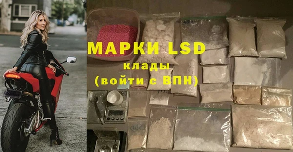 стаф Кукмор