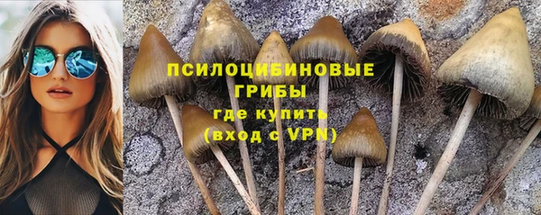 амф Кулебаки