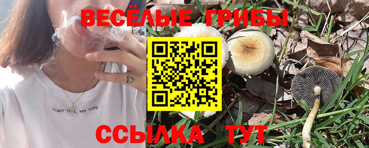 Уссурийск  Галлюциногенные грибы Cubensis  Псилоцибиновые грибы Cubensis  Вход с VPN 