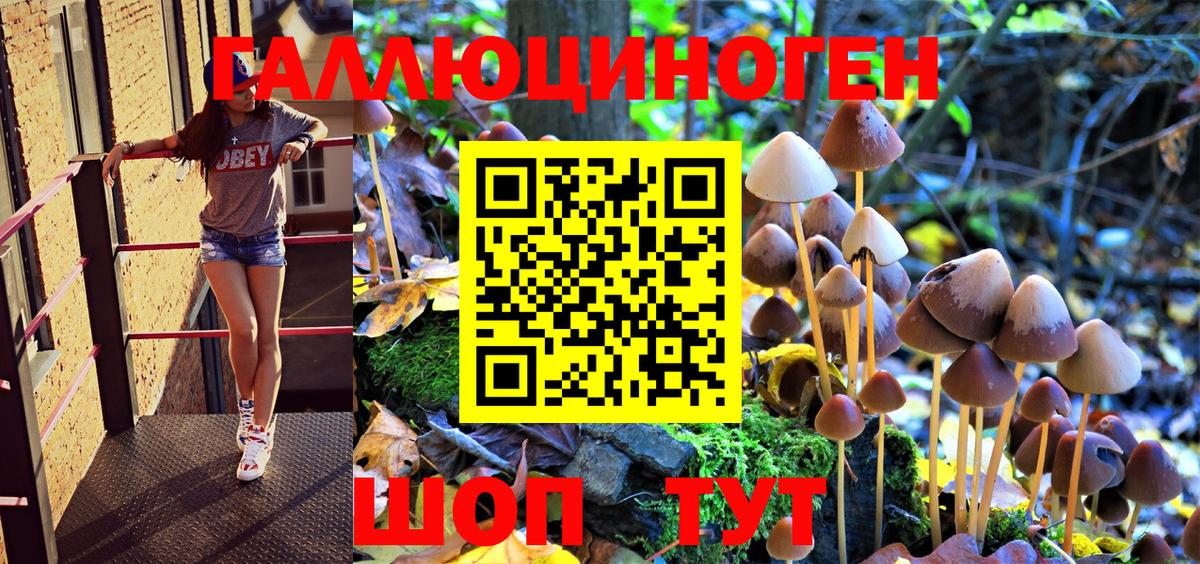 Псилоцибиновые грибы Psilocybe Уссурийск
